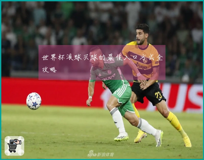 世界杯滚球买球的最佳入口方式全攻略