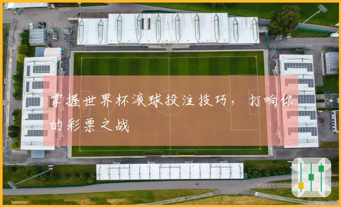 掌握世界杯滚球投注技巧，打响你的彩票之战